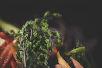 Artistic photo of fresh vegetables