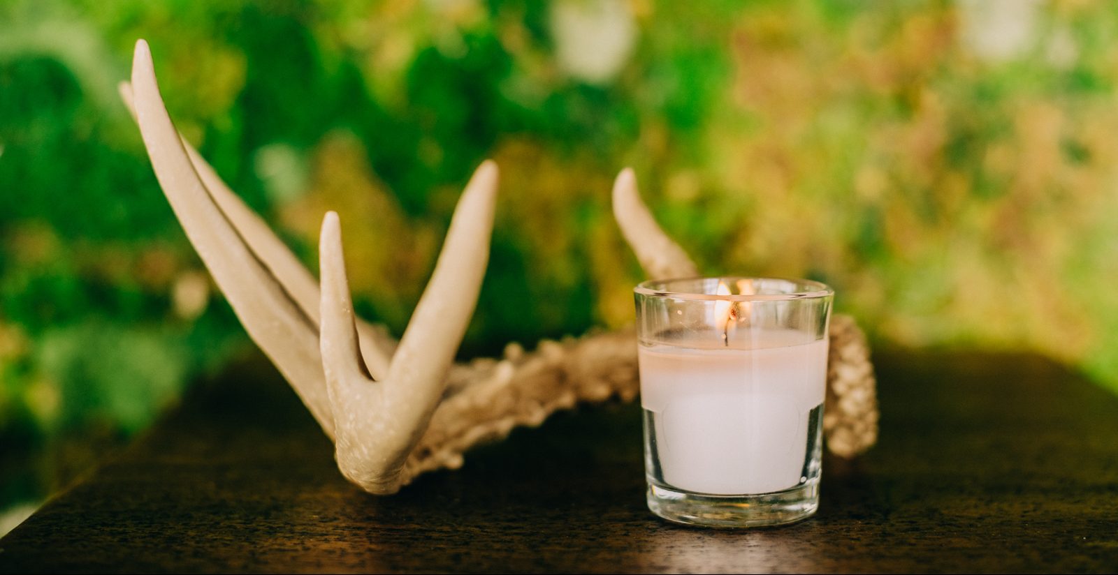 lit candle and deer horn in front of greenery