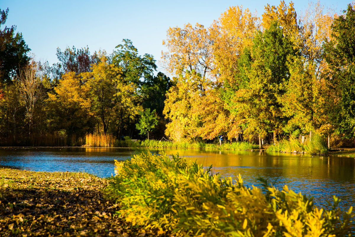 Fall foliage and lake and Hudson Gardens