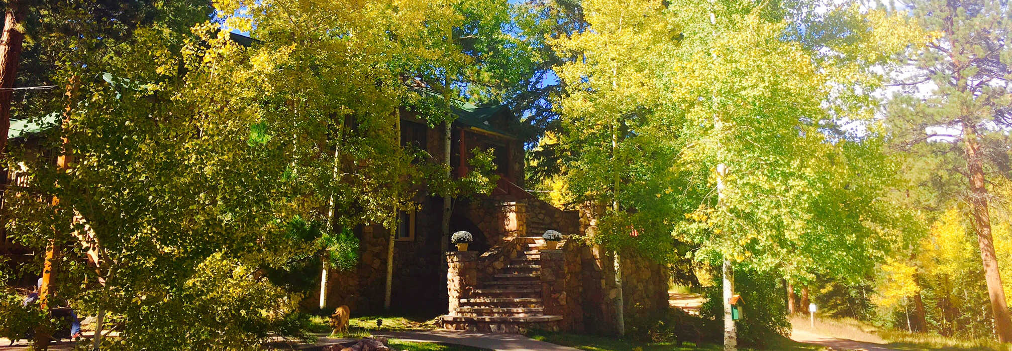wedding venue in the woods
