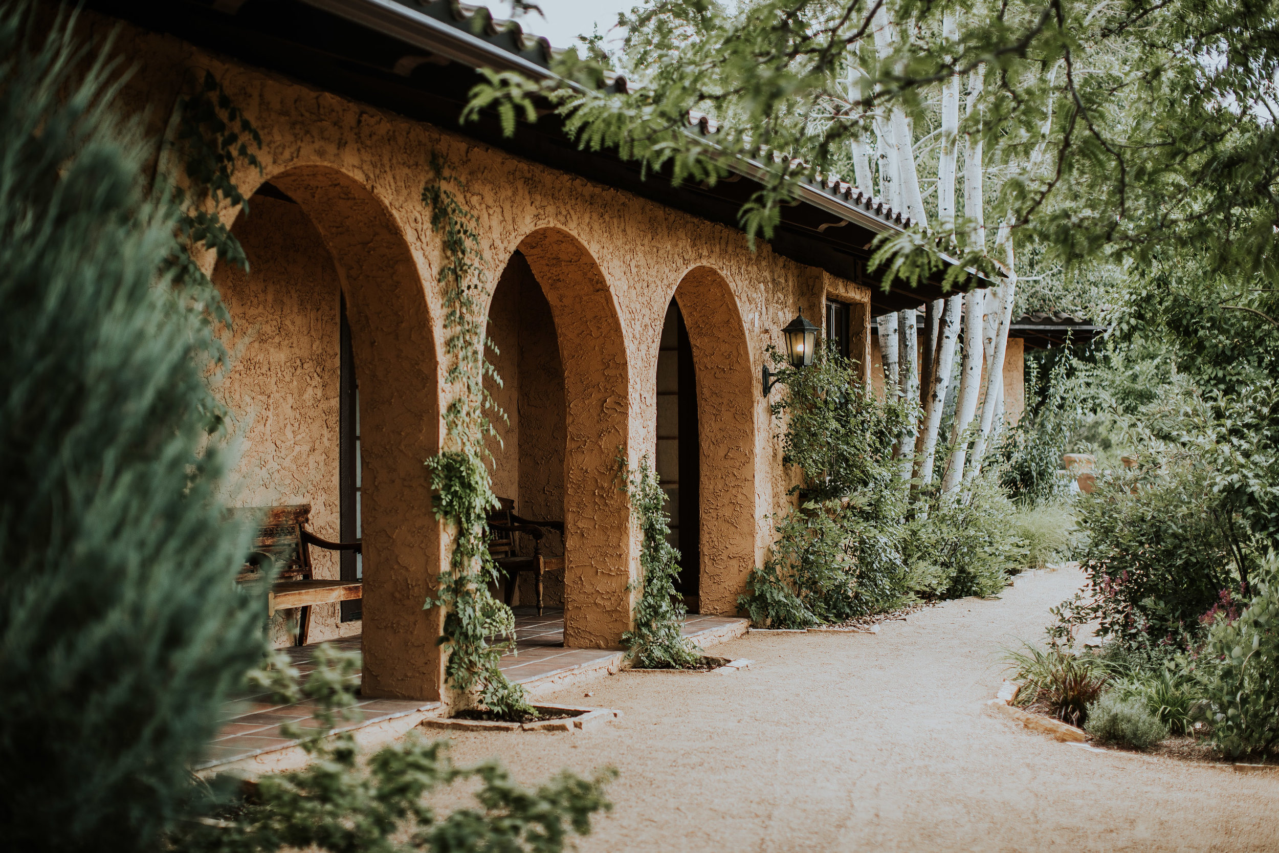 Row of brick arches covered in ivy and surrounded by trees
