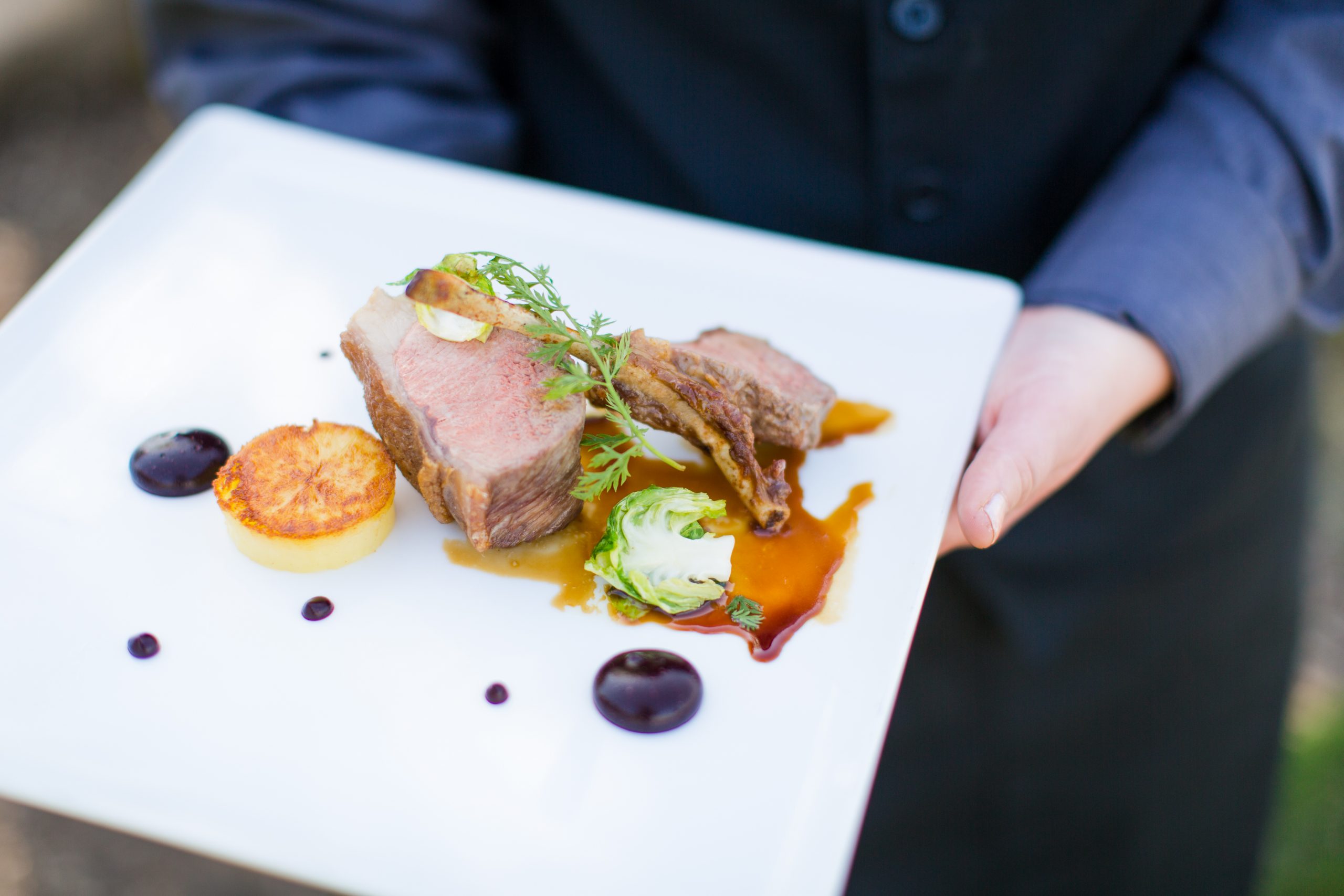 image of contemporary food design on white plate