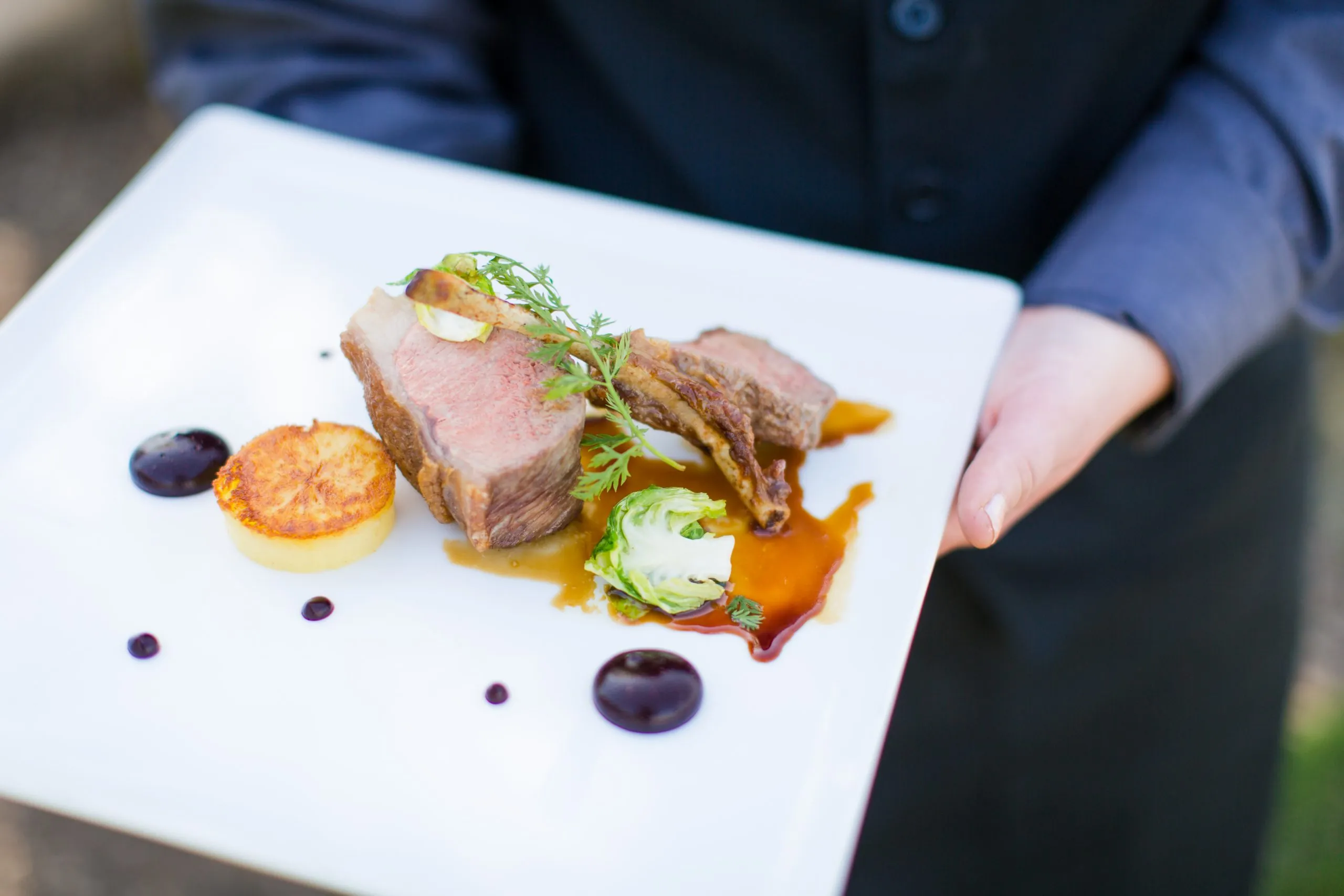 image of contemporary food design on white plate