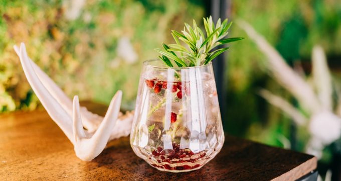 cocktail with cranberries and fresh rosemary with an animal bone next to it