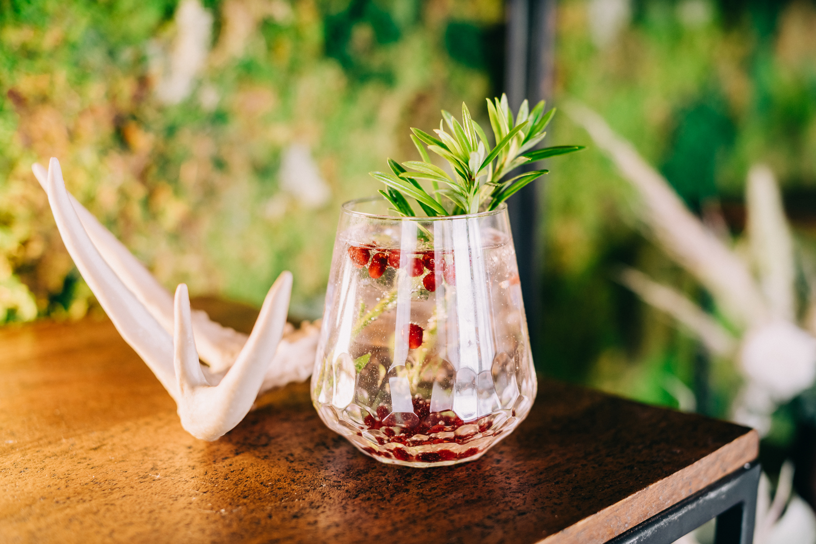 cocktail with cranberries and fresh rosemary with an animal bone next to it