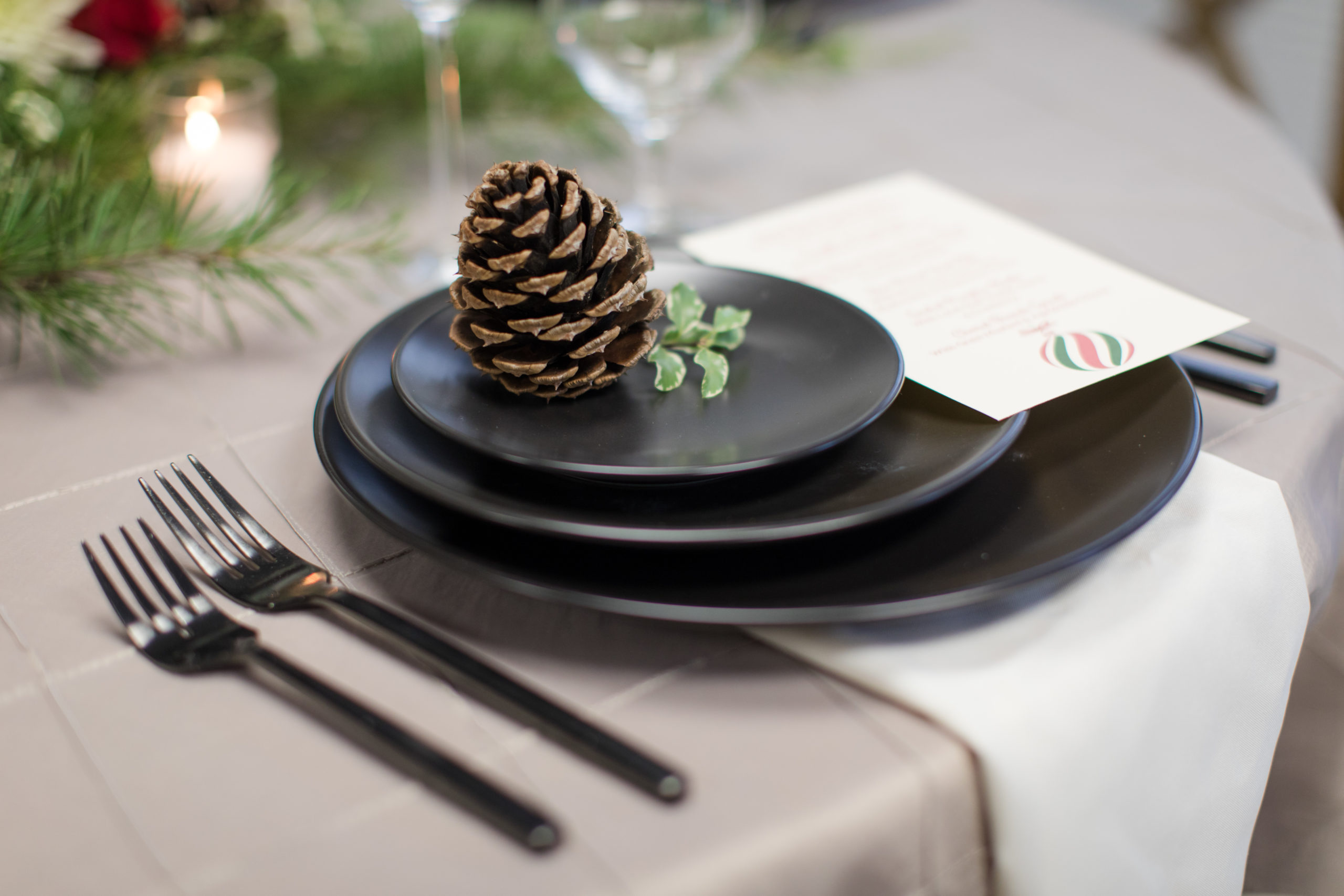 pine cone on a plate